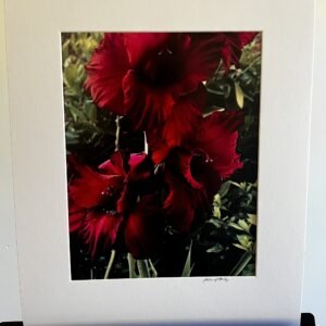 Glorify Arts Show-Piece 10 - SUMMER CLEARANCE!