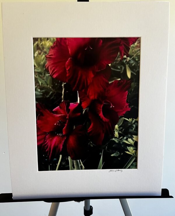 Glorify Arts Show-Piece 10 - SUMMER CLEARANCE!