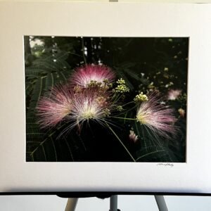 Glorify Arts Show-Piece 11 - SUMMER CLEARANCE!