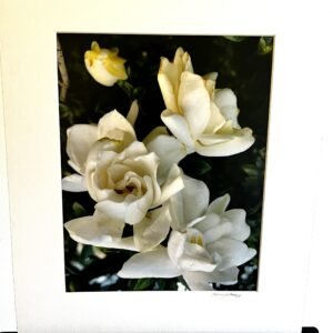 Glorify Arts Show-Piece 12 - SUMMER CLEARANCE!
