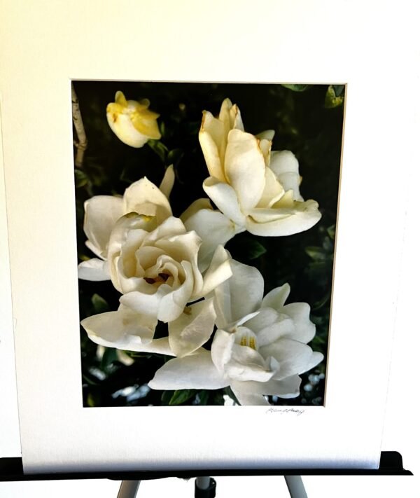 Glorify Arts Show-Piece 12 - SUMMER CLEARANCE!