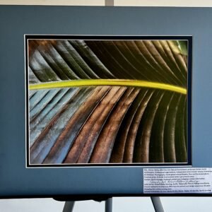 Glorify Arts Show-Piece 9 - SUMMER CLEARANCE!